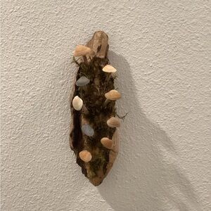 Driftwood Art, Driftwood & Seashell Mushrooms , Mushroom Art